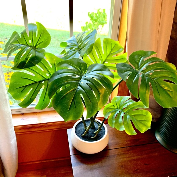 Project 62 Other - Faux Palm Split Leaf Plant in White Pot Large